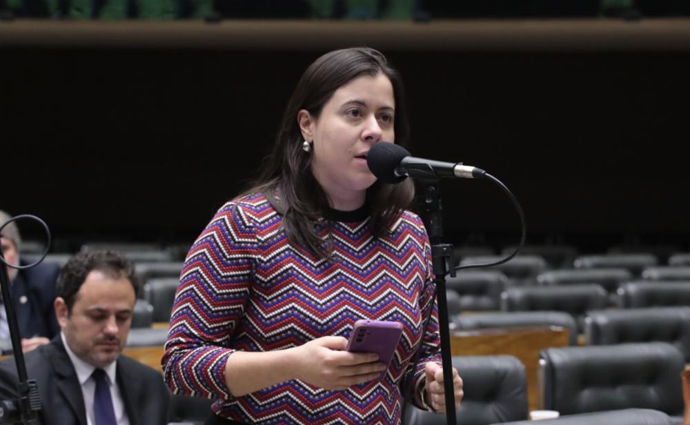 Sâmia Bomfim quer impedir acesso a armas por acusados em cumprimento de medida protetiva