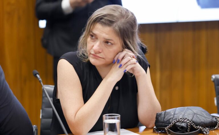 Deputada Prof. Luciene pede comissão urgente para acompanhar investigação do caso cão Orelha e requer ações preventivas contra maus-tratos