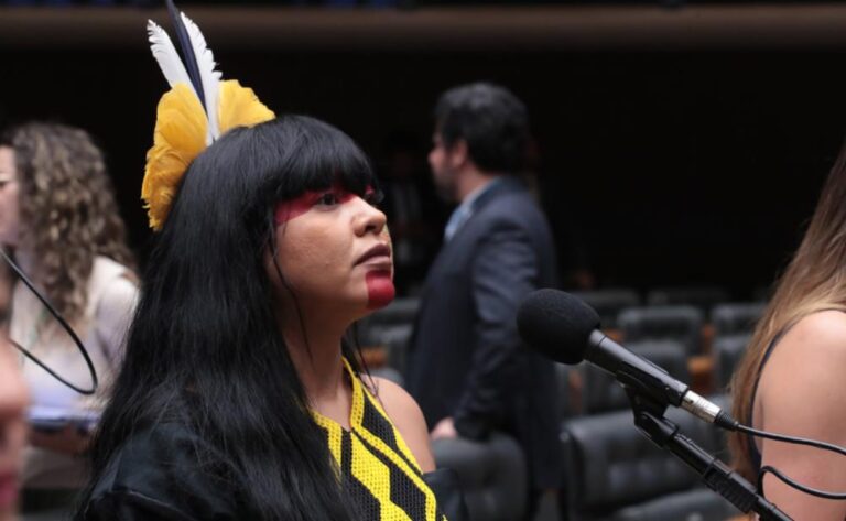 Célia Xakriabá cria grupo de trabalho para barrar privatização dos rios amazônicos