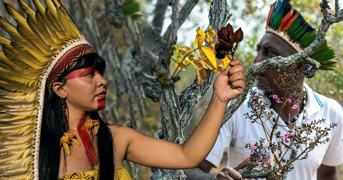 Comissão de Cultura aprova projeto de valorização dos pajés no Brasil
