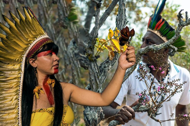 Comissão de Cultura aprova projeto de valorização dos pajés no Brasil