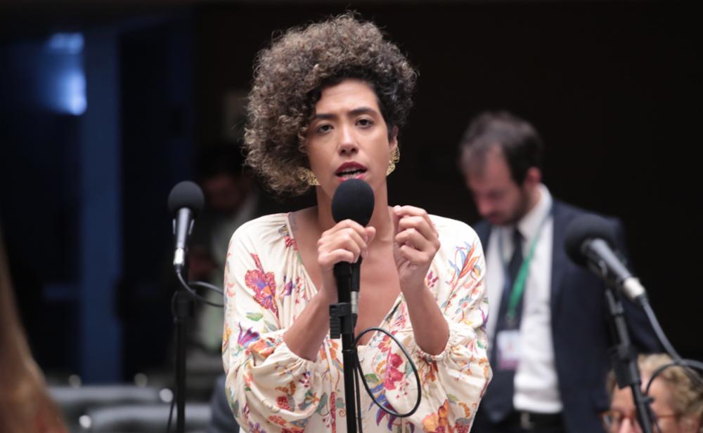 Câmara aprova Projeto de Lei de Talíria Petrone sobre divulgação ampla do Disque 180 nas mídias