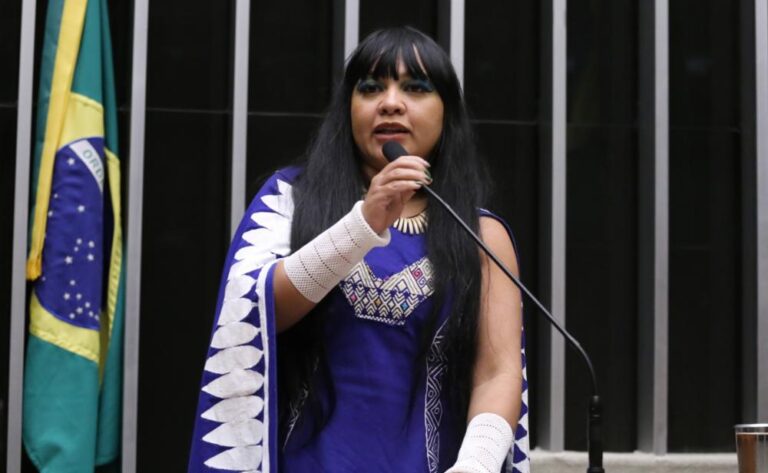 Senado aprova projeto da deputada Célia Xakriabá que institui o Dia Nacional de Proteção e Combate à Violência contra Mulheres e Meninas Indígenas