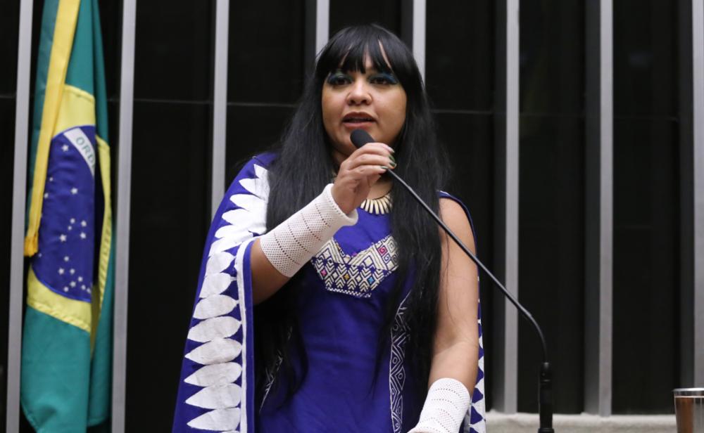 Senado aprova projeto da deputada Célia Xakriabá que institui o Dia Nacional de Proteção e Combate à Violência contra Mulheres e Meninas Indígenas