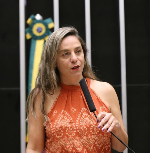 Fernanda Melchionna apresenta projeto para enfrentar a violência de gênero nas escolas