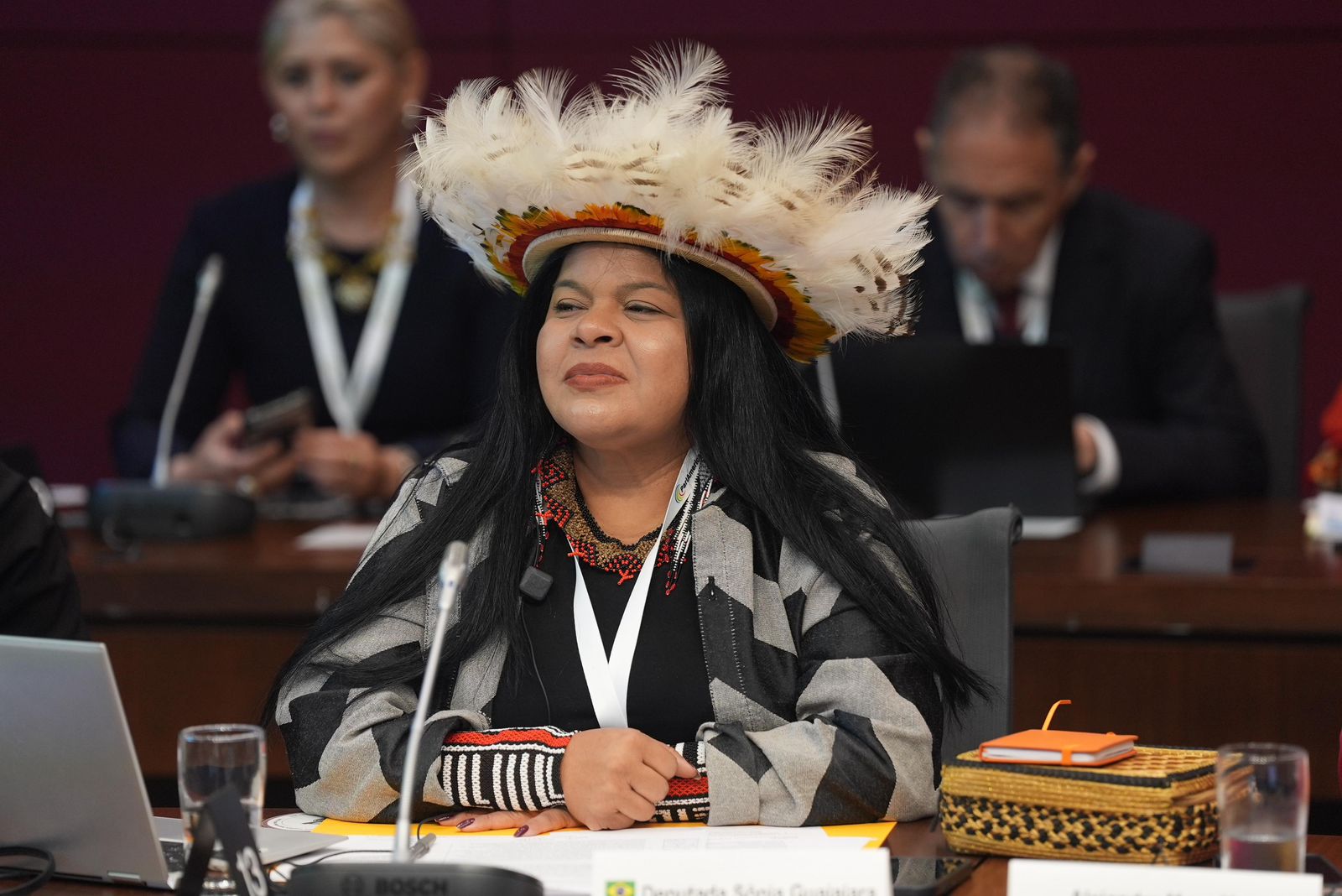 Sonia Guajajara é eleita copresidenta de Grupo Parlamentar no ParlAmericas