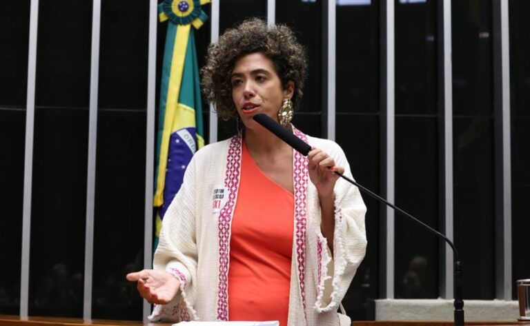 “Feminicídio é a ponta do icerberg das violências”, afirma Talíria, que vai integrar o GT do projeto da misoginia