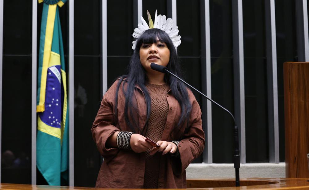 Célia Xakriabá conduz primeira reunião técnica da subcomissão sobre minerais críticos e terras raras nos territórios