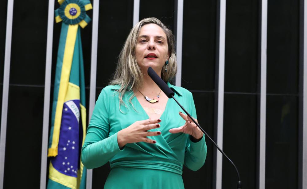 Fernanda Melchionna denuncia pacote da devastação aprovado na Câmara