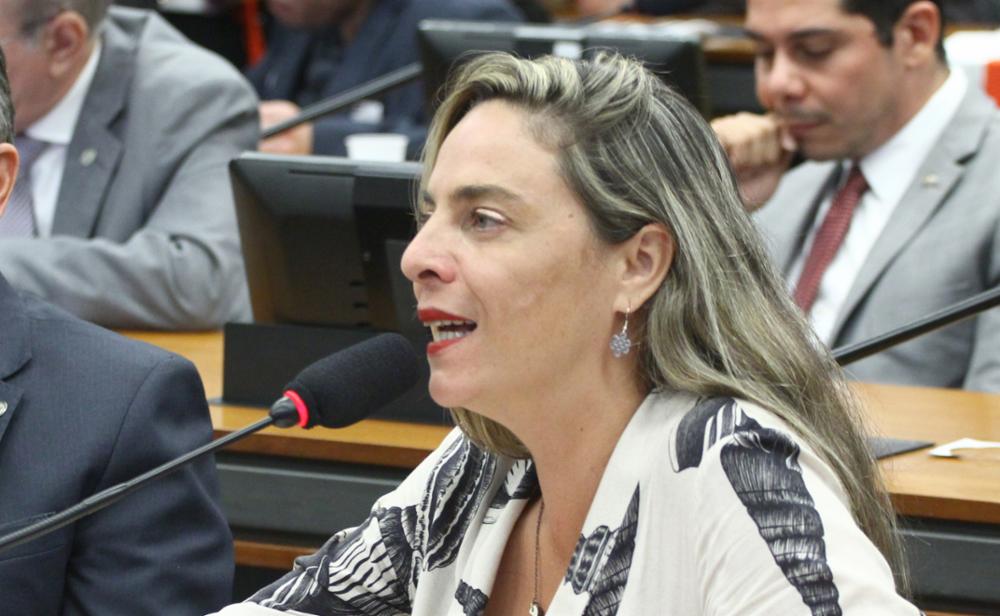 Fernanda Melchionna desmonta mentira de Sóstenes Cavalcante (PL) durante votação do fim da escala 6×1