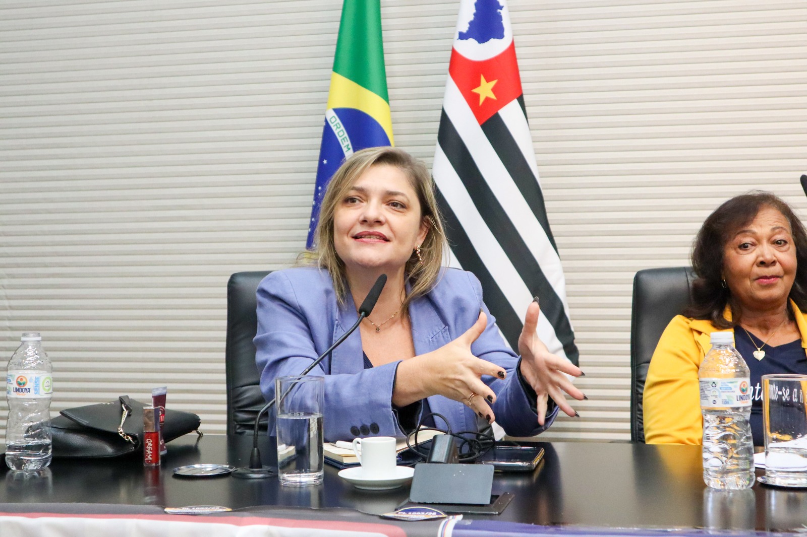 Deputada Professora Luciene cobra fiscalização para proteger baleias em Ilhabela