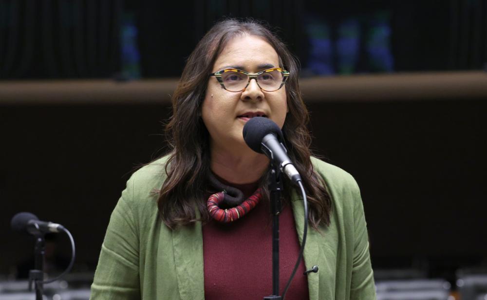 Contra o rastro das tragédias: Duda Salabert aciona o Governo Federal para transformar alertas científicos em proteção real aos municípios