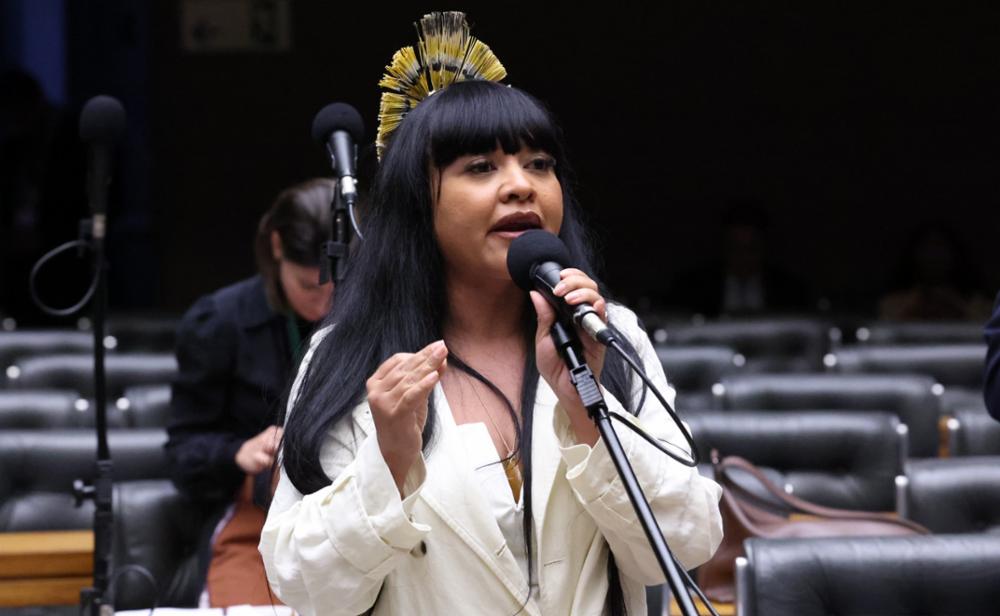 Deputada Federal Célia Xakriabá avança em pautas de cultura e direitos das mulheres durante semana de intensa atuação na Câmara dos Deputados