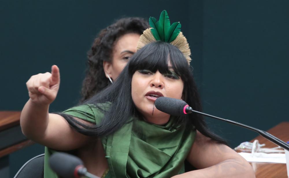 Deputada Federal Célia Xakriabá apresenta “Ficha Verde” para barrar candidaturas de condenados por danos ambientais graves