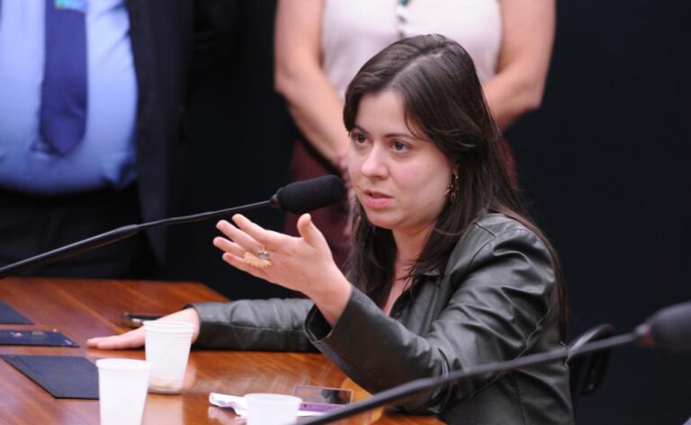 Sâmia Bomfim realiza audiência pública sobre condições de trabalho de ambulantes e artesãos de São Paulo