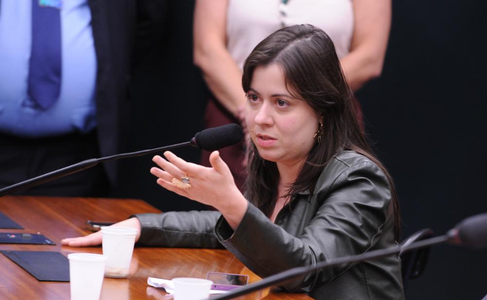 Sâmia Bomfim realiza audiência pública sobre condições de trabalho de ambulantes e artesãos de São Paulo