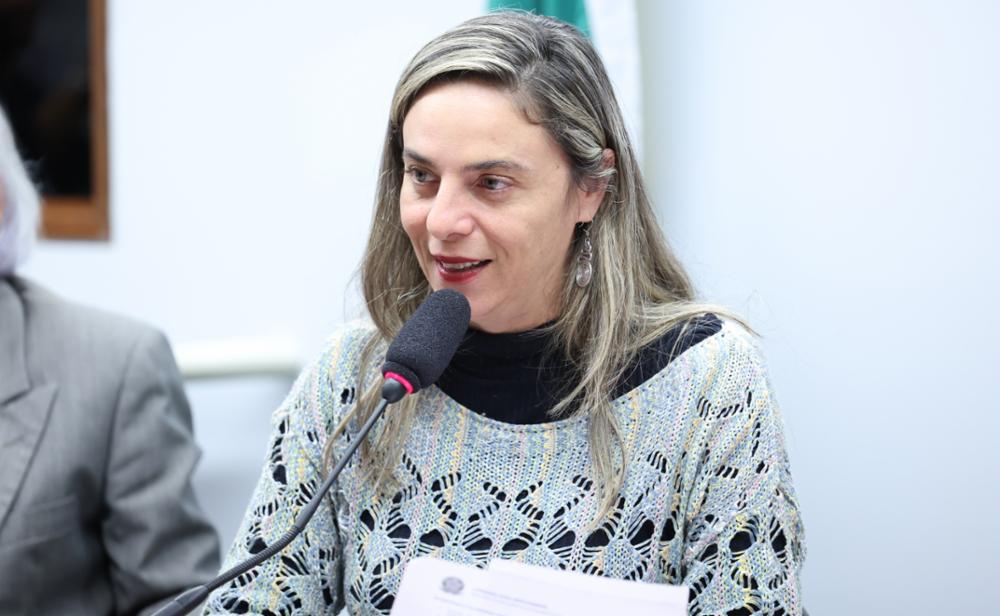 Fernanda Melchionna realiza audiências públicas com metroviários e auditores da defensoria pública na Câmara dos Deputados