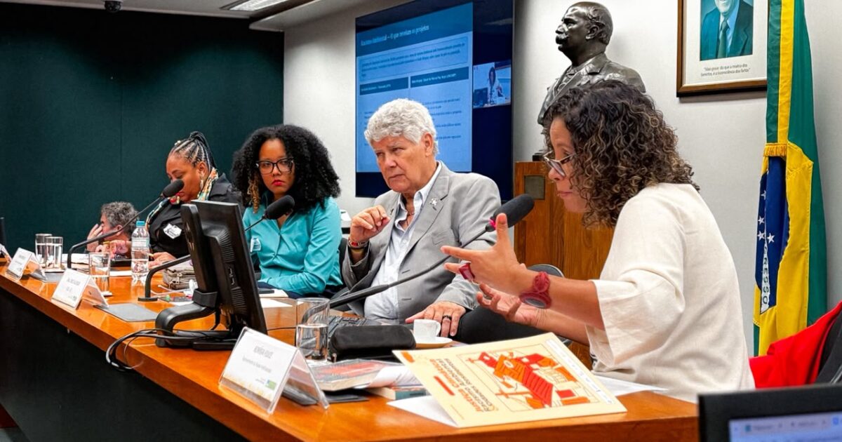 Chico Alencar preside audiência pública sobre justiça climática, racismo ambiental e cidades resilientes