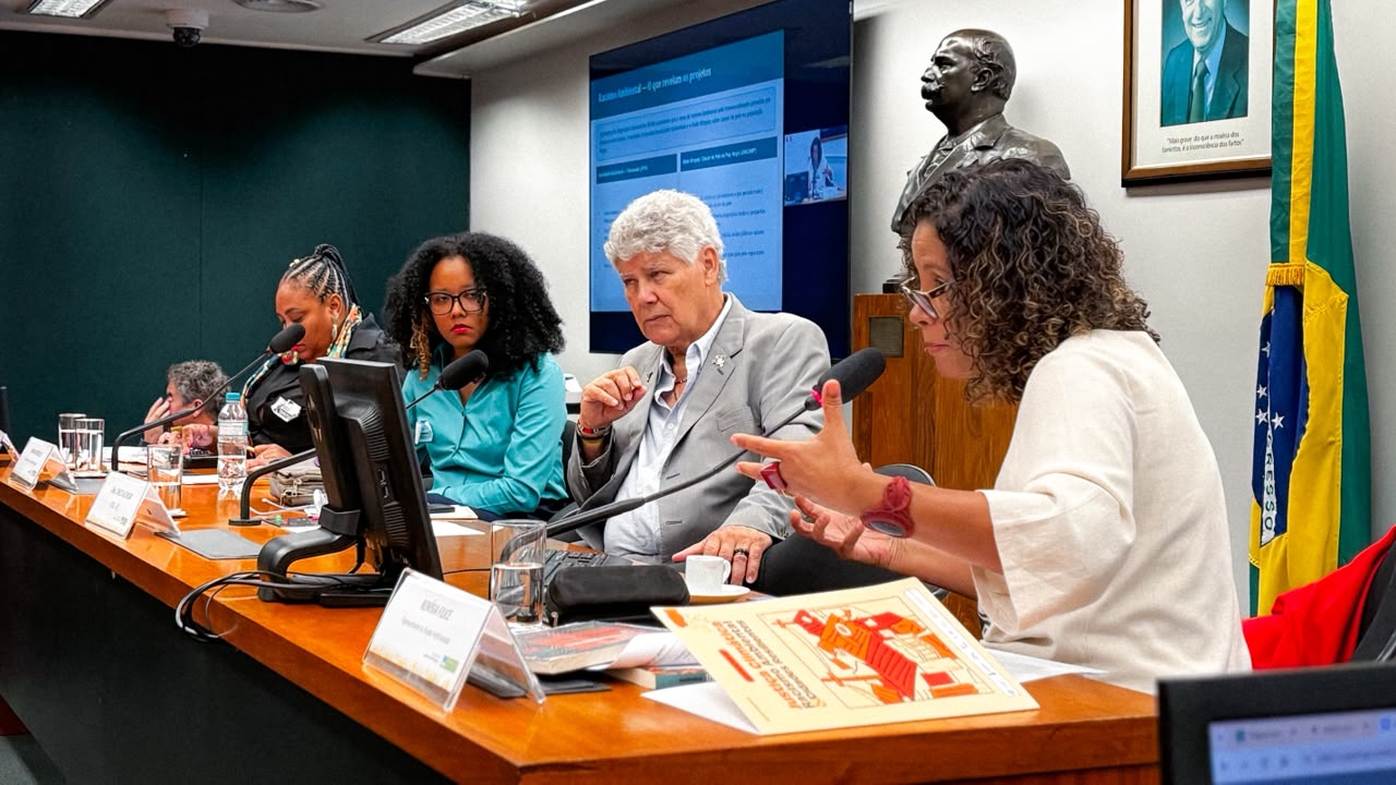 Chico Alencar preside audiência pública sobre justiça climática, racismo ambiental e cidades resilientes