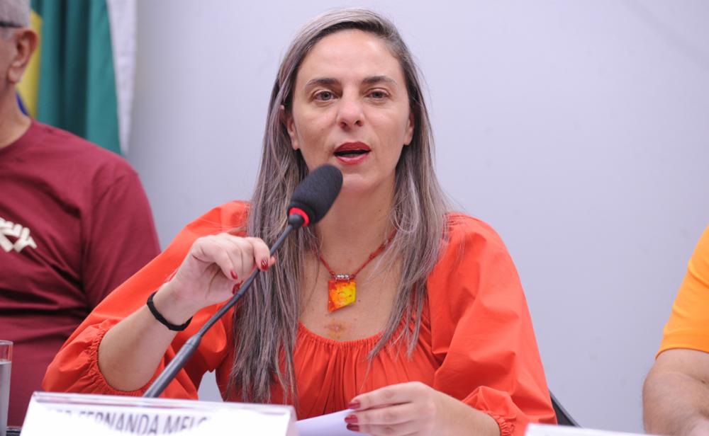 Fernanda Melchionna quer prisão preventiva para crimes de armazenamento e posse de material de abuso sexual infanto-juvenil