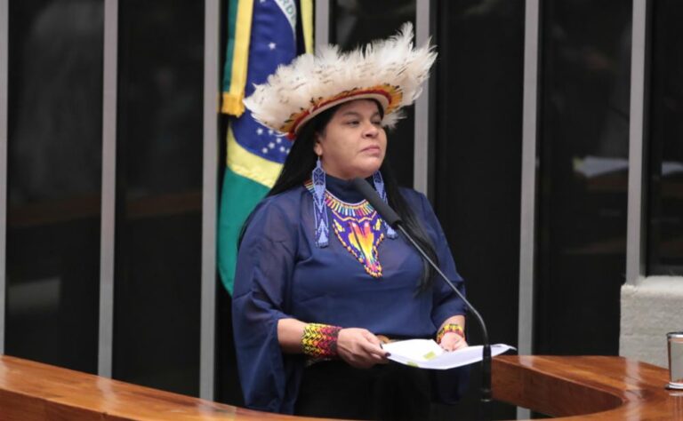 Deputada Sonia Guajajara apresenta projeto para garantir votação presencial de propostas que impactam o meio ambiente e os povos indígenas